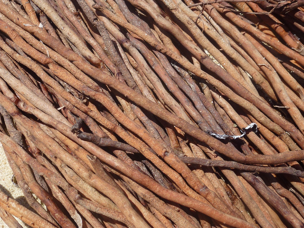 Come Seno Boost sta rivoluzionando la cura del décolleté per le over 50